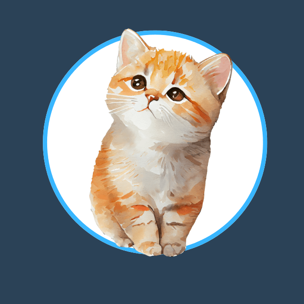 Cute cat